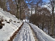 27 La strada corre in faggeta